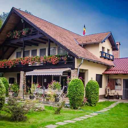 Casa Csiki Villa Rîşnov Buitenkant foto