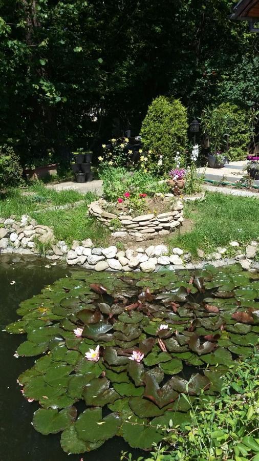 Casa Csiki Villa Rîşnov Buitenkant foto
