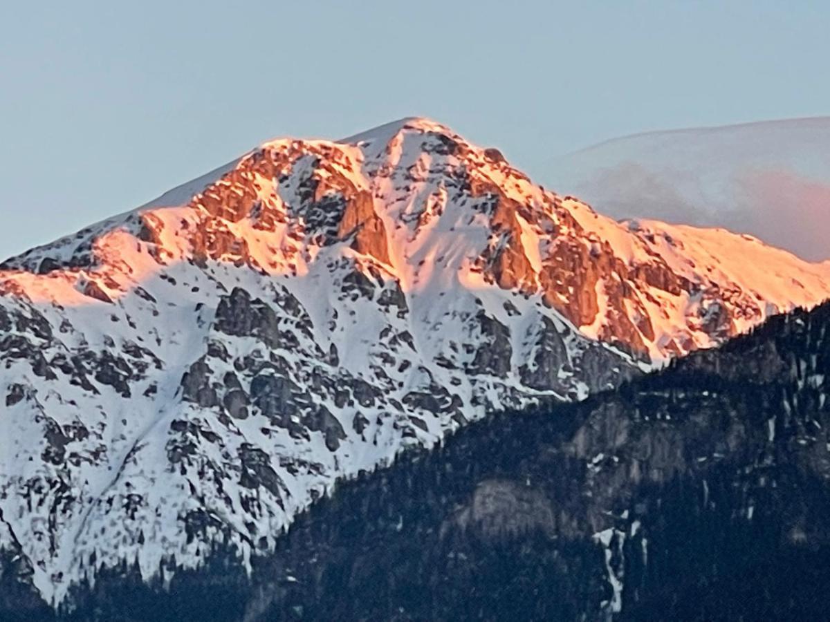 Casa Csiki Villa Rîşnov Buitenkant foto