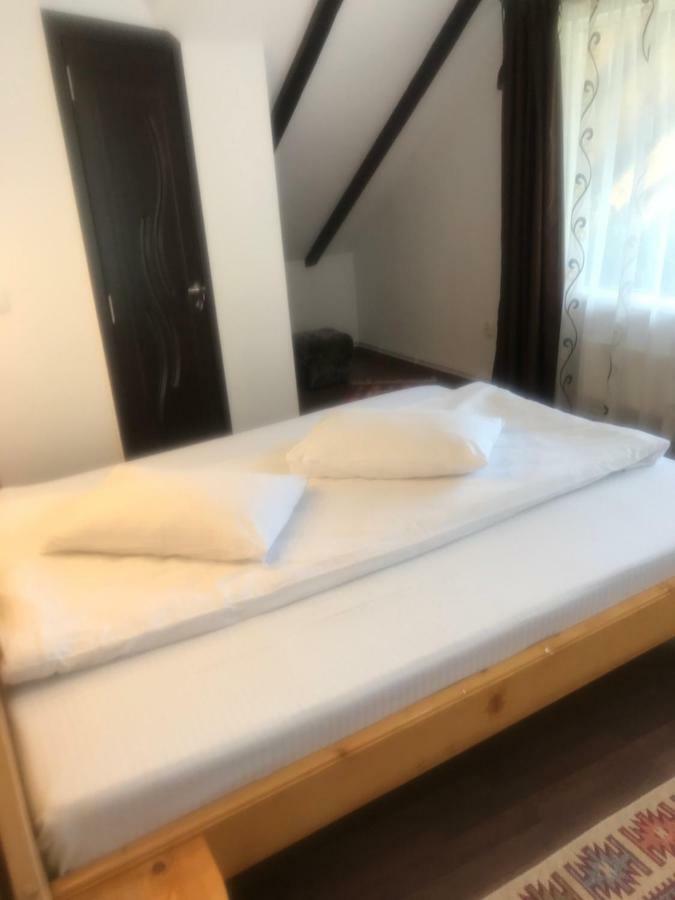 Casa Csiki Villa Rîşnov Buitenkant foto